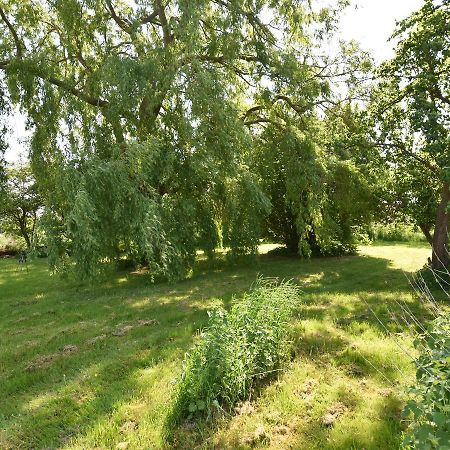 Spacious Holiday Home In Hornstorf With Trampoline Eksteriør bilde