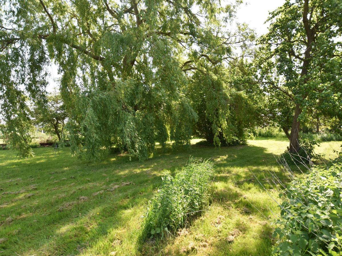 Spacious Holiday Home In Hornstorf With Trampoline Eksteriør bilde